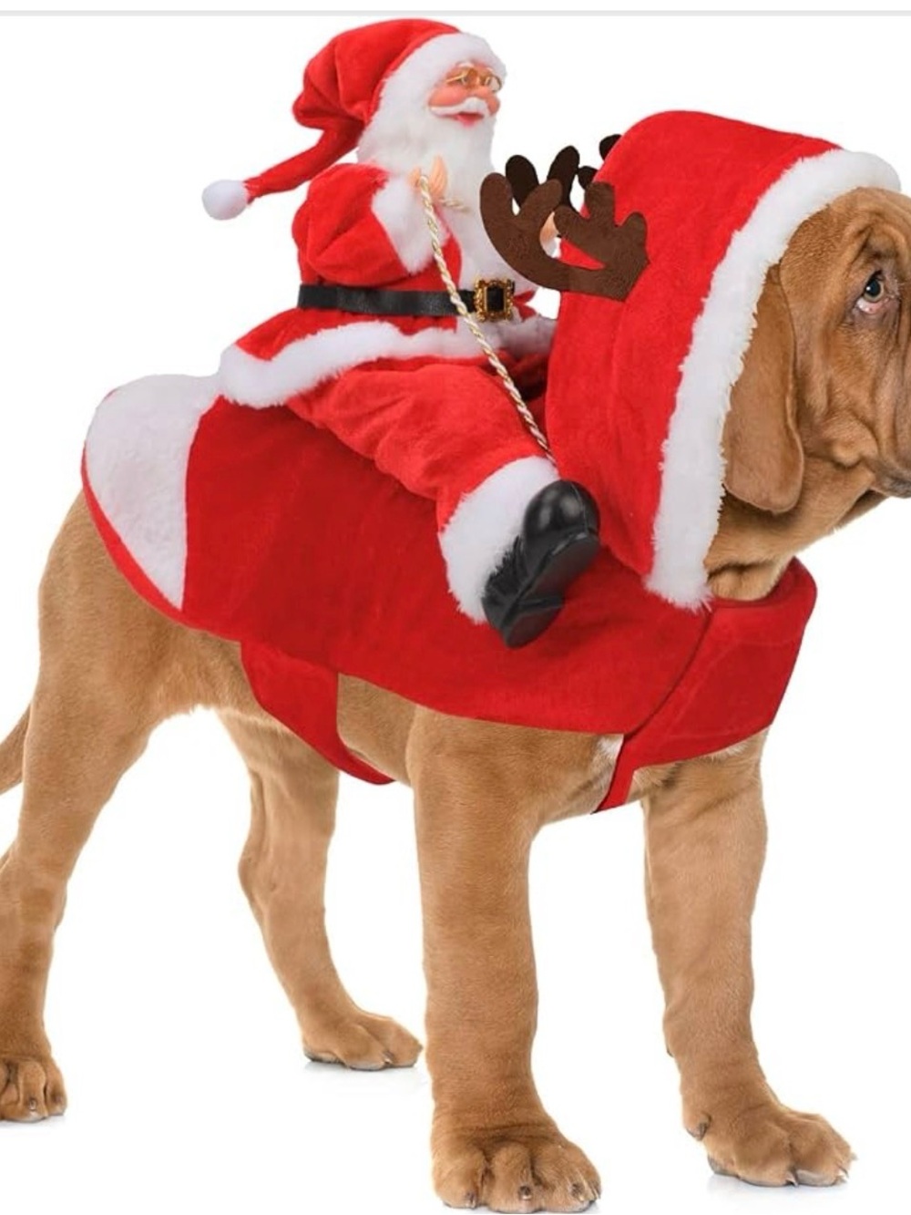 Santa Dog Costume Size XXL